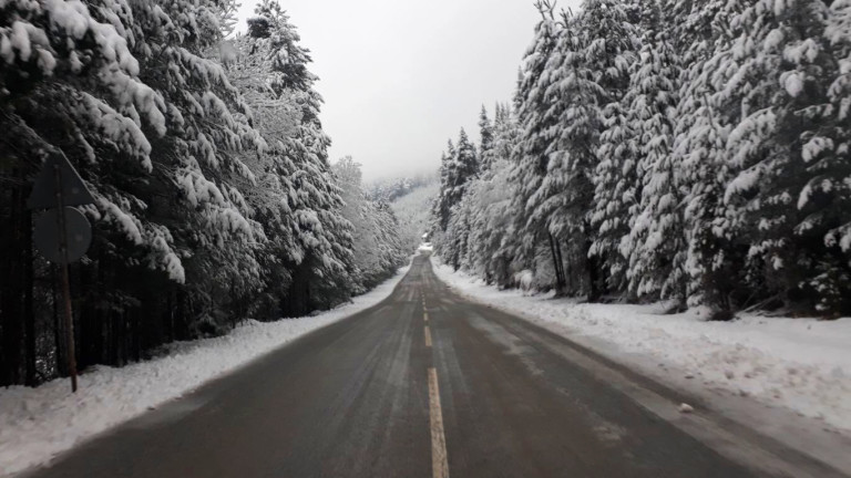 Сняг в северна България