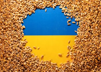 FILE PHOTO: Ukrainian flag is covered with grains in this picture illustration taken May 9, 2022. REUTERS/Dado Ruvic/Illustration