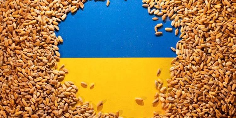 FILE PHOTO: Ukrainian flag is covered with grains in this picture illustration taken May 9, 2022. REUTERS/Dado Ruvic/Illustration