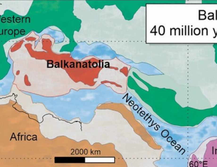 Балкантолия